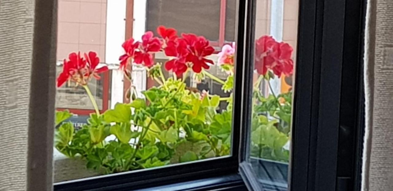 Green House アヴェイロ エクステリア 写真