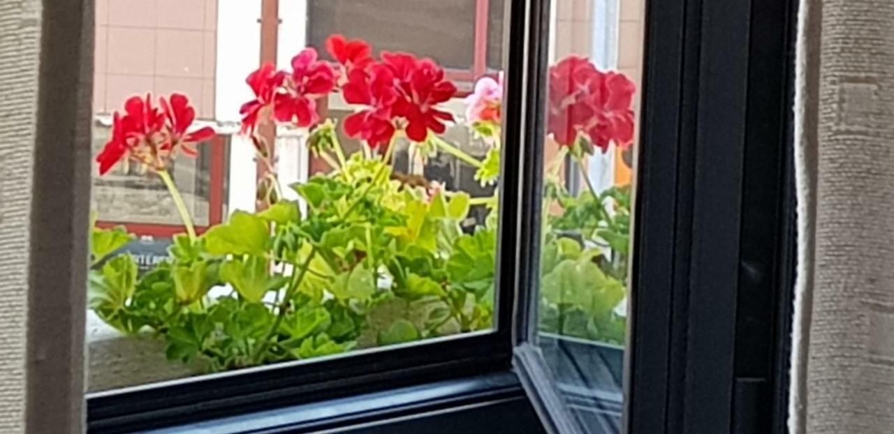 Green House アヴェイロ エクステリア 写真